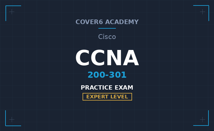 Cisco CCNA (200-301) Practice Exam